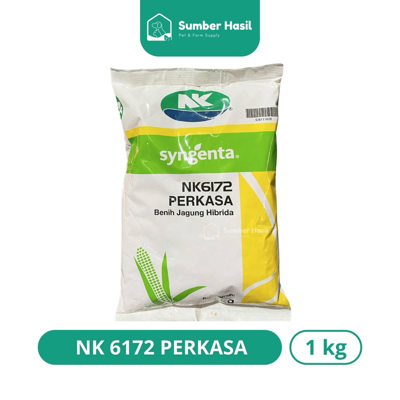 BENIH JAGUNG NK PERKASA BIBIT JAGUNG NKPERKASA NK6172 BENIH NK ORIGINAL