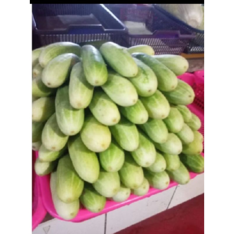 

timun acar / timun kecil muda muda