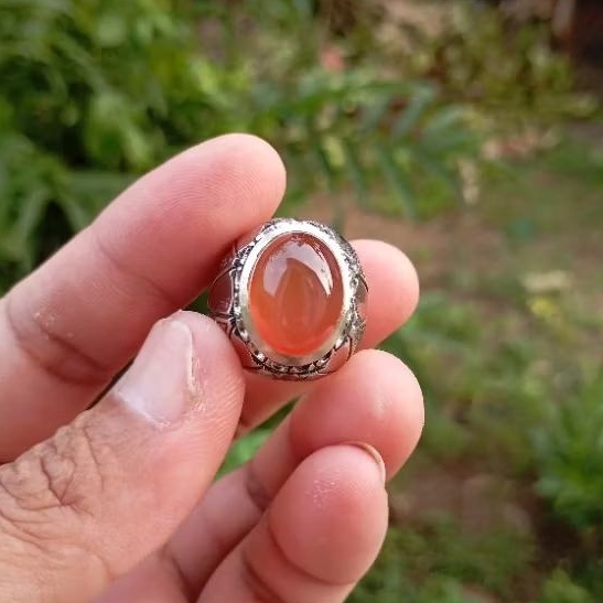 Natural cincin obi nukleus alas merah