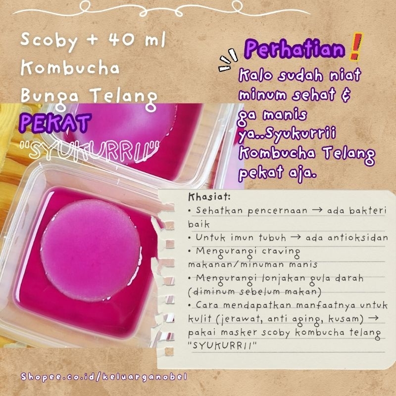 

Scoby Kombucha Telang Pekat (Teh Telang Tidak Encer), Memaksimalkan Konsentrasi Antioksidan