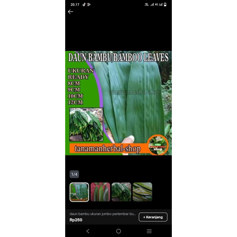 

DAUN Bambu bungkus bacang jumbo 500gr murah lagi promo
