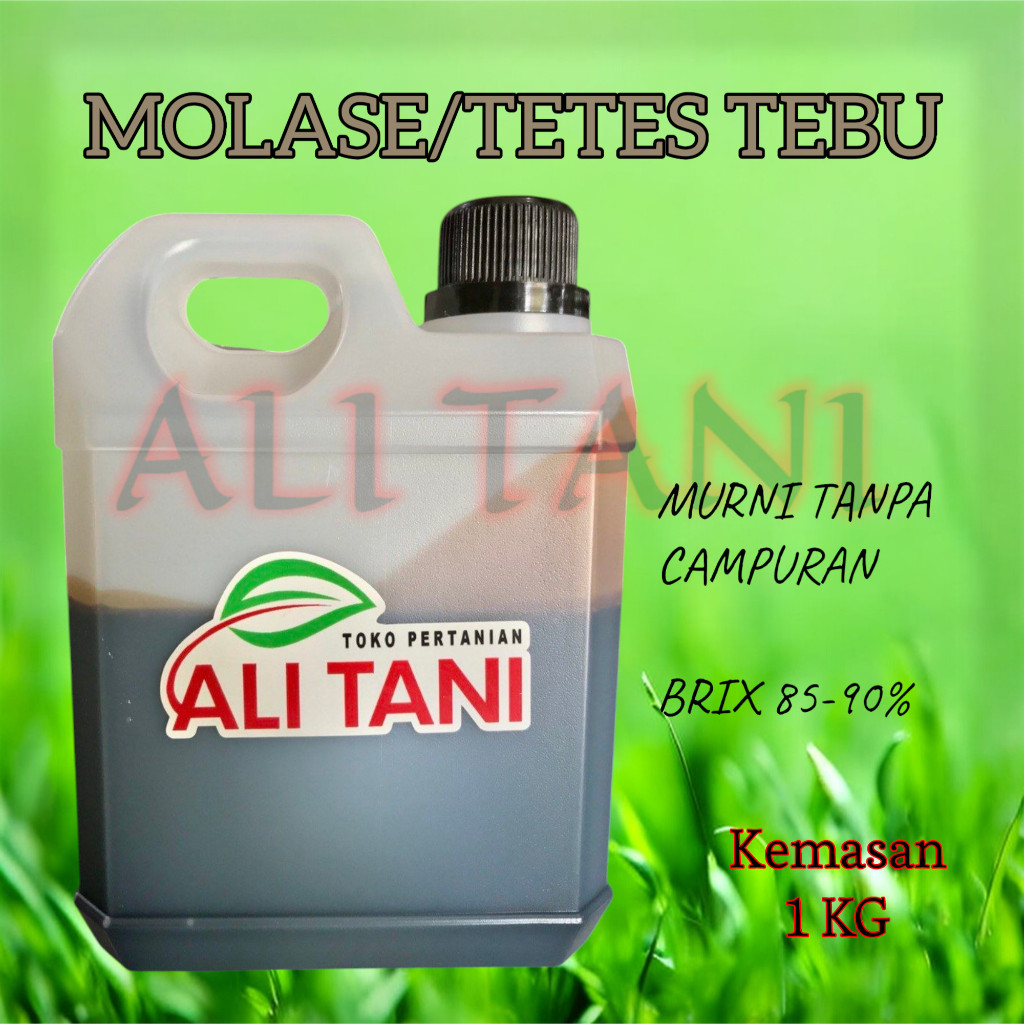 MOLASE/Tetes Tebu Murni dan Kental Tanpa Campuran untuk Pakan Bakteri
