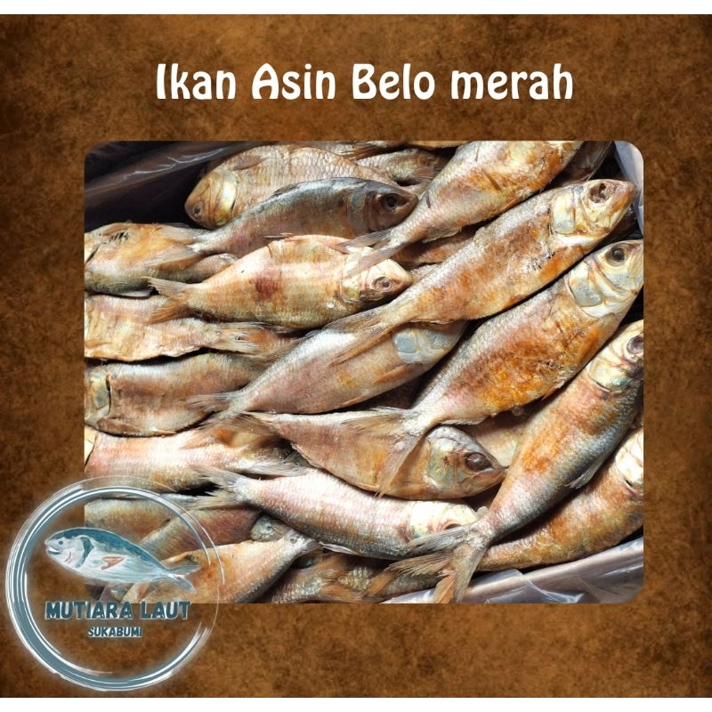 

ikan asin belo fresh 250 gr