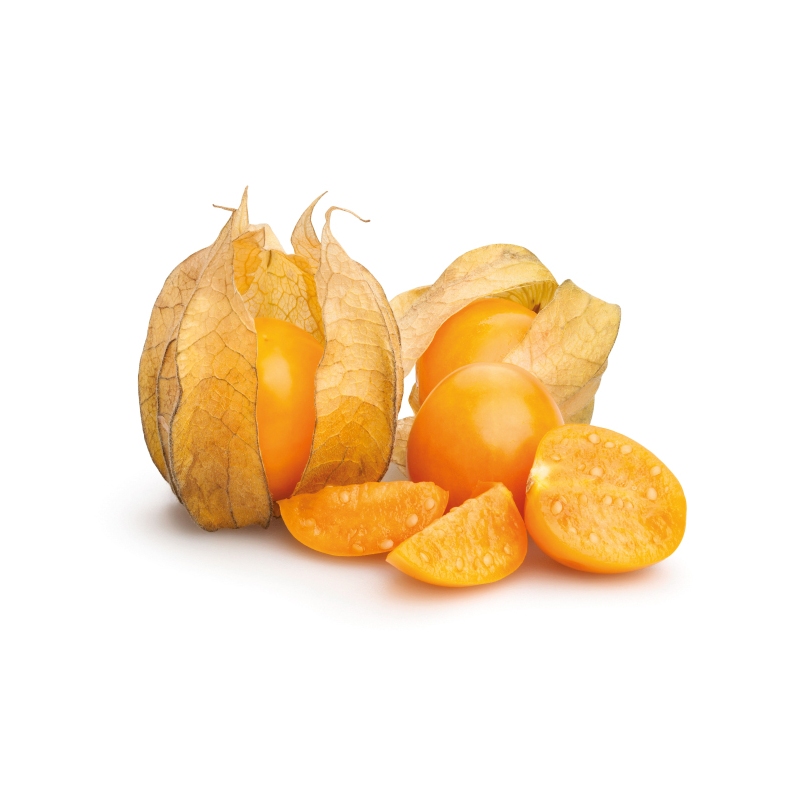 

Golden Berry | Buah Ciplukan Emas