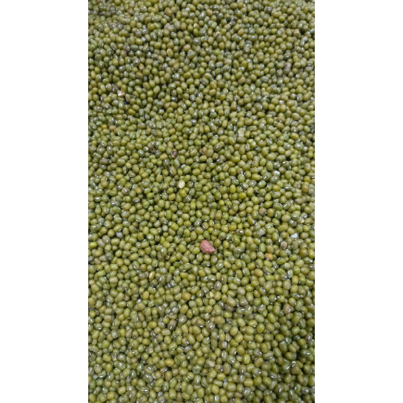 

kacang ijo 250gram
