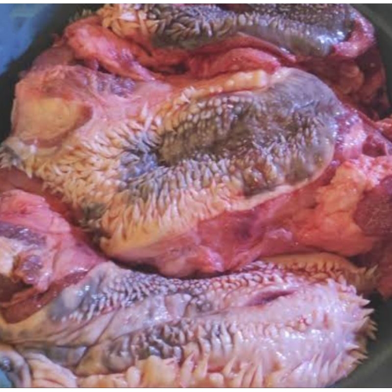 

500 gram Daging Pipih Sapi