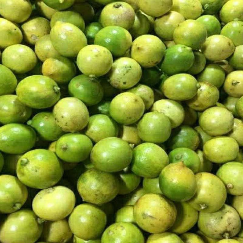 

Fresh Jeruk Lemon California 1kg