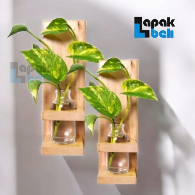 VAS BUNGA BOTOL GANTUNG KAYU | VAS KACA GANTUNG ESTETIK | VAS KACA MINI | STANDING POT KAYU