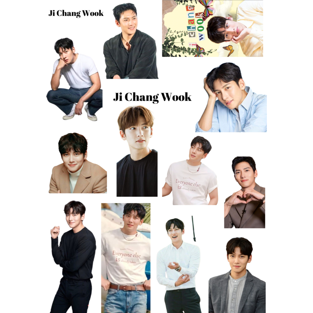 Stiker Aktor Ji Chang Wook Drakor Drama Korea Jurnal Journaling