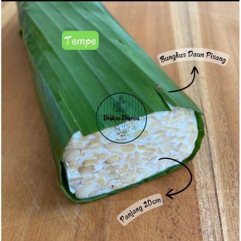 

tempe mentah daun