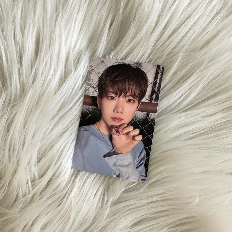 Photocard (PC) Junkyu Treasure “Pleasure Album” Green ver