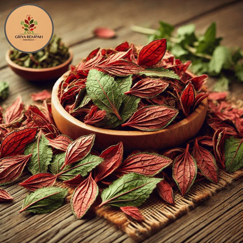 

KROKOT MERAH KERING 100 GRAM Kerokot Rempah Herbal Simplisia Alami Kaya Manfaat untuk Kesehatan Ramuan Jamu Tradisional Portulaca oleracea Gelang