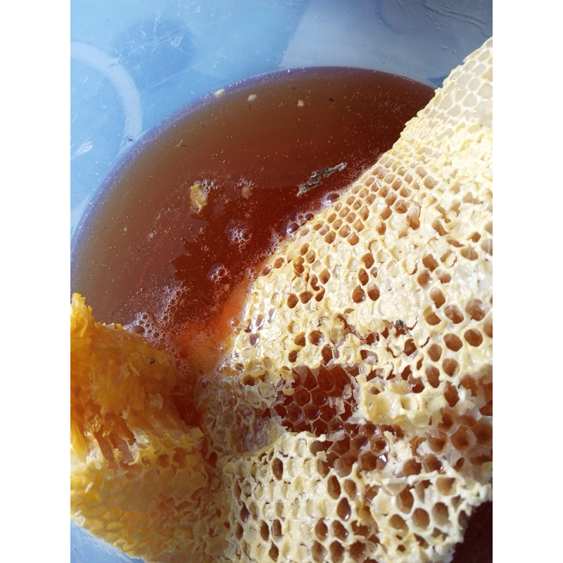 

madu hutan