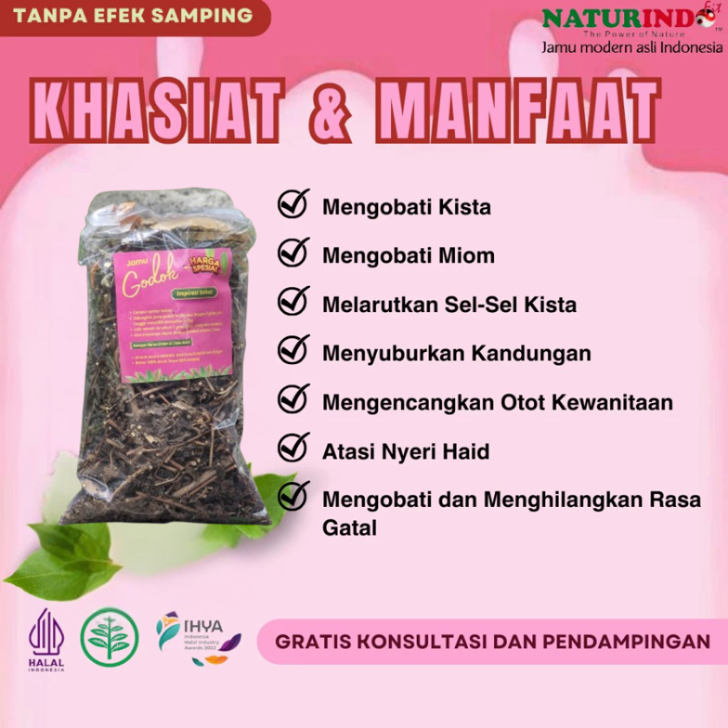 JAMU Miom dan Kista Paling Ampuh Obat Miom Tanpa Operasi Obat Kista Ovarium Kista Bartholin Kista Ga