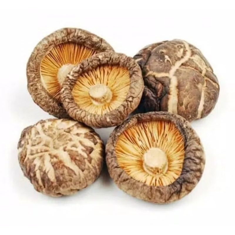 JAMUR SHITAKE  GRADE A JUMBO / HIO KO KERING PREMIUM / HIOKO HIOKU JAMUR PAYUNG DRIED MUSHROOM
