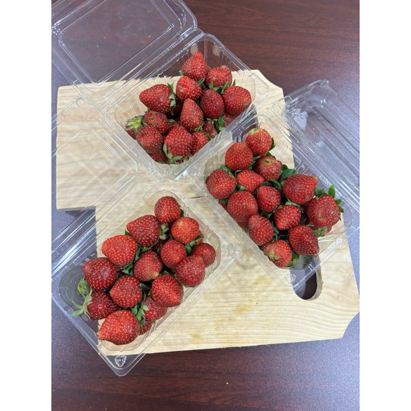 

INSTANT Strawberry / Stroberi Lokal 1 pack - 230 gram