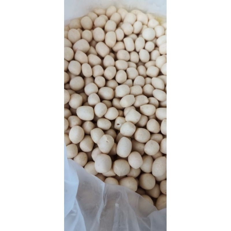 

(BEST SELLER) GETAS IKAN PREMIUM KERUPUK GETAS ASLI IKAN TENGGIRI