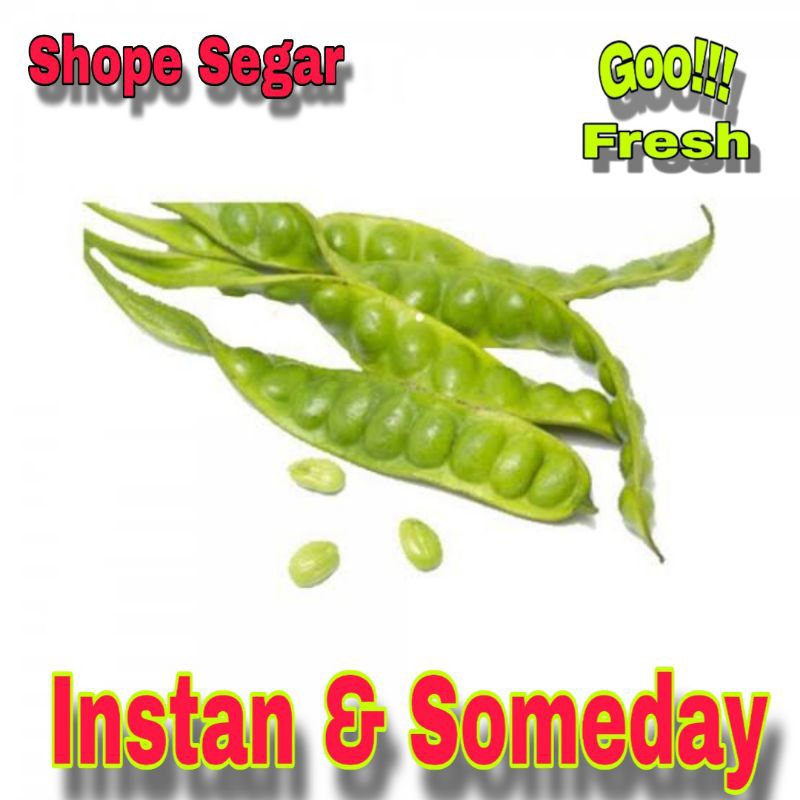 

Pete Segar Petai 1 Papan kirim instan & someday