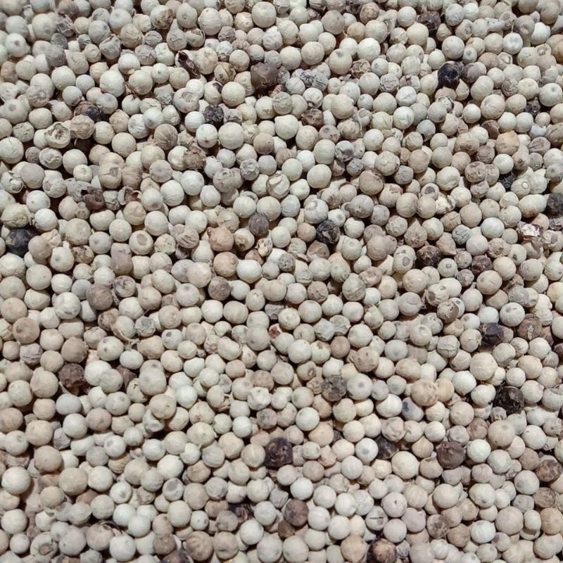 

Rempah Lada Putih Butir Untuk Memasak dan Kesehatan