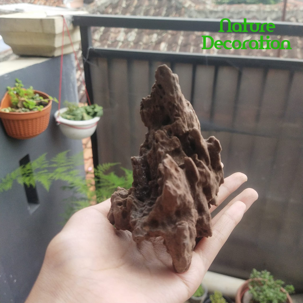 Kayu Rentek Mini Estetik Hardscape Terarium Paludarium Vivarium