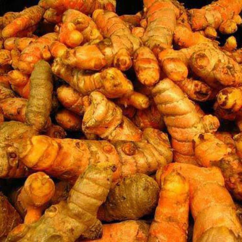

KUNYIT SEGAR 1KG