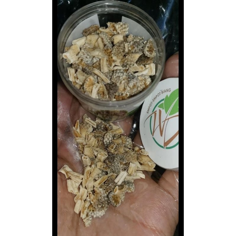 Empot Utuh Mpot Utuh Mpotayam Madura mpotayam utuh keputihan bau tak sedap menambah hormon estrogen 