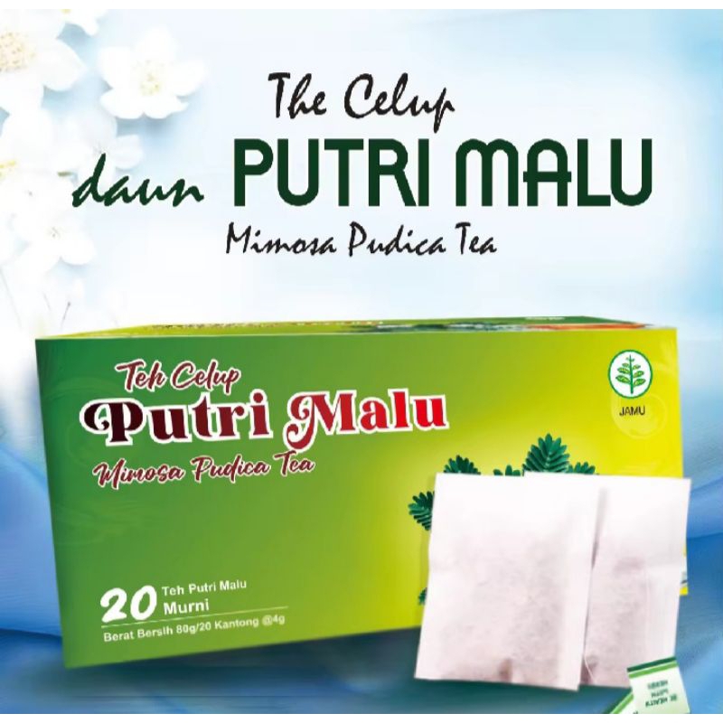 

teh celup daun putri malu/daun putri malu/herbal daun putri malu/mimosa pudica. 1 box isi 20 kantung celup.