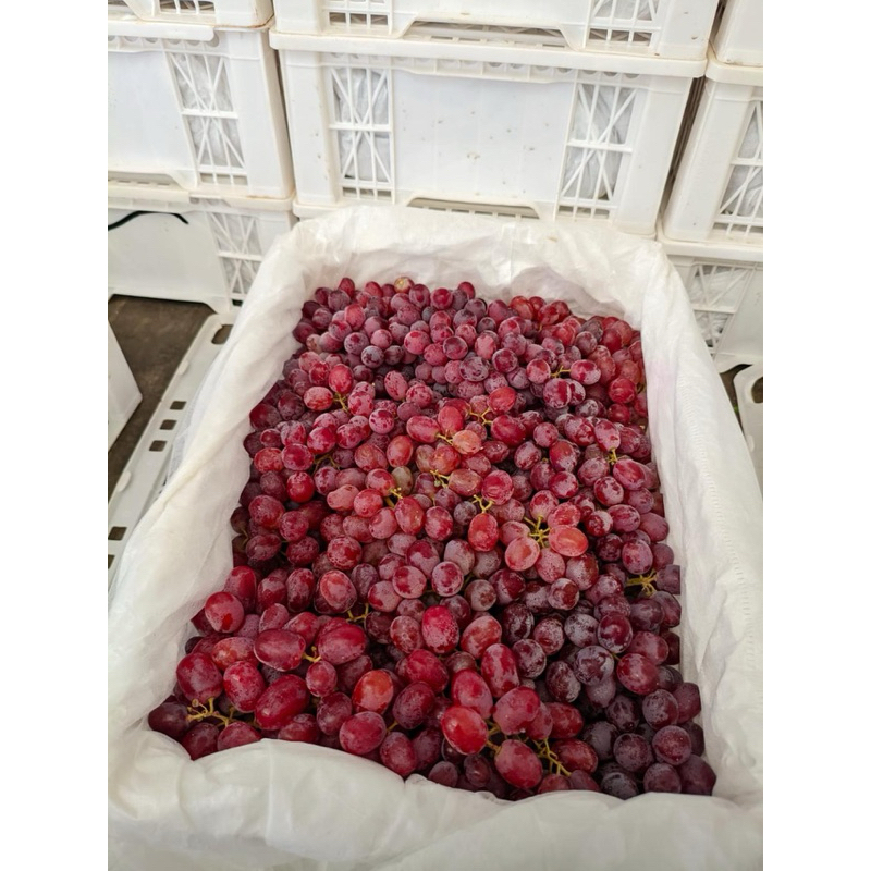 

ANGGUR CRIMSON/KRIMSON KRAT IMPORT