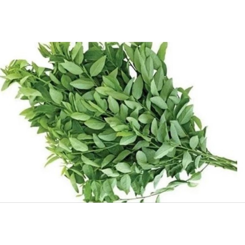 

daun katuk