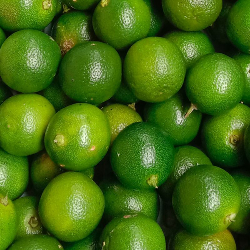 

10kg jeruk sonkit kasturi kunci