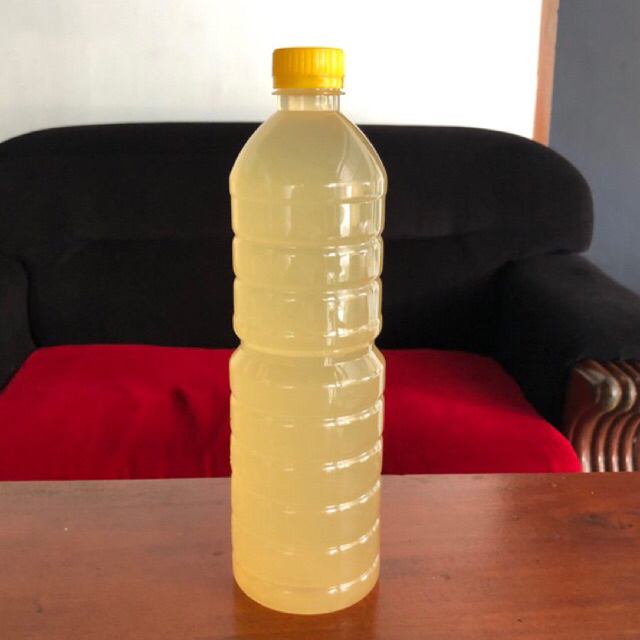 Kombuca jamur scoby 1 Liter//Kombuca vitamin penggemuk sapi//vitamin penggemuk sapi//vitamin herbal 