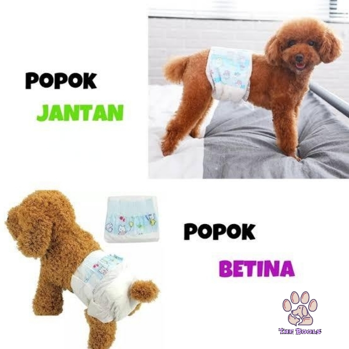 (The Bools) Popok Diapers Pampers Untuk Anjing Kucing Hewan Lainnya Perpcs / Pampers Kucing