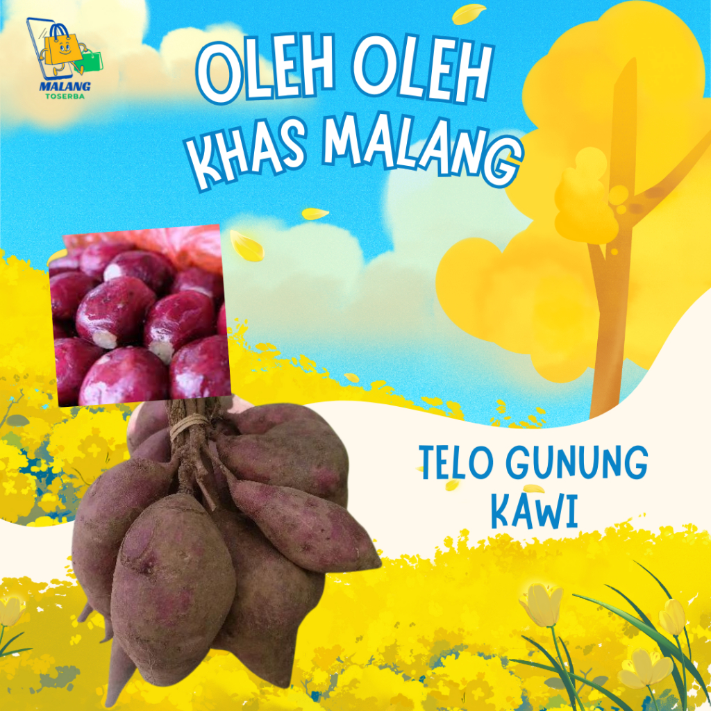 

[KIRIM INSTAN] TELO GUNUNG KAWI ASLI