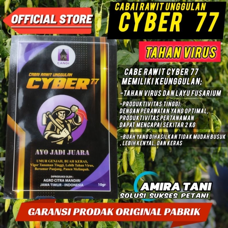 Cyber 77 benih cabai rawit original 10 grm