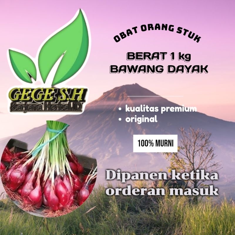 

bawang Dayak segar 1kg obat strok (Eleutherine bulbosa) di petik ketika ada orderan masuk