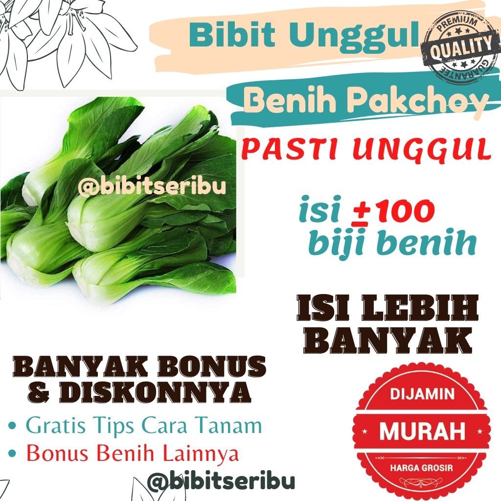 Bibit pakcoy Benih Sayuran dan Buah Siap Tanam Lengkap Bisa untuk Hidroponik