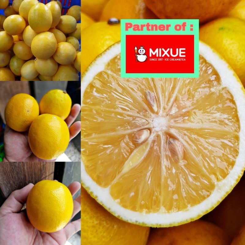 

Lemon california mulus segar 1 kg ukuran sedang