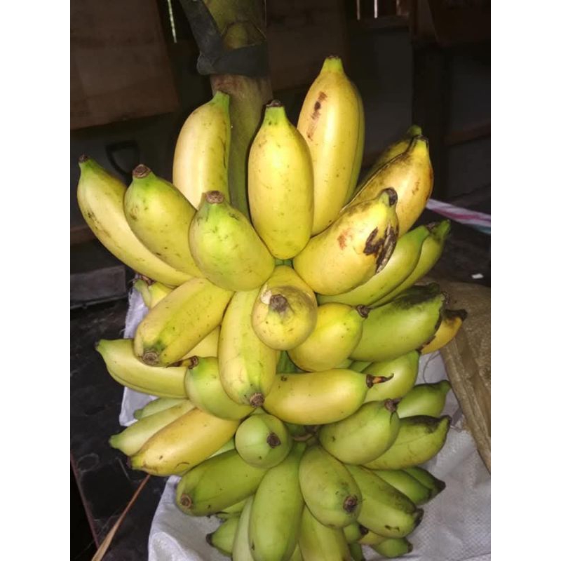 

Pisang ambon