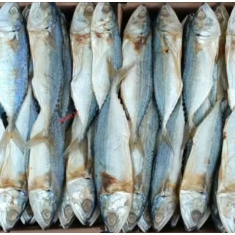 

1kg ikan asin gembung banyar