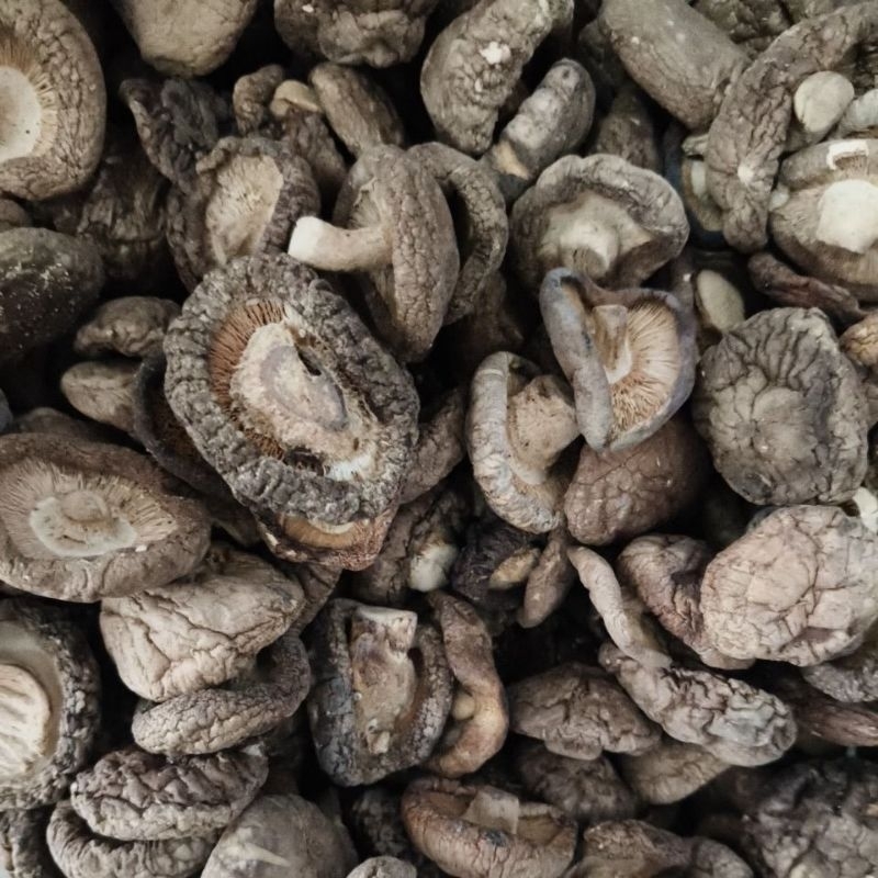 

hio ko / jamur shitake mushroom 100 gr