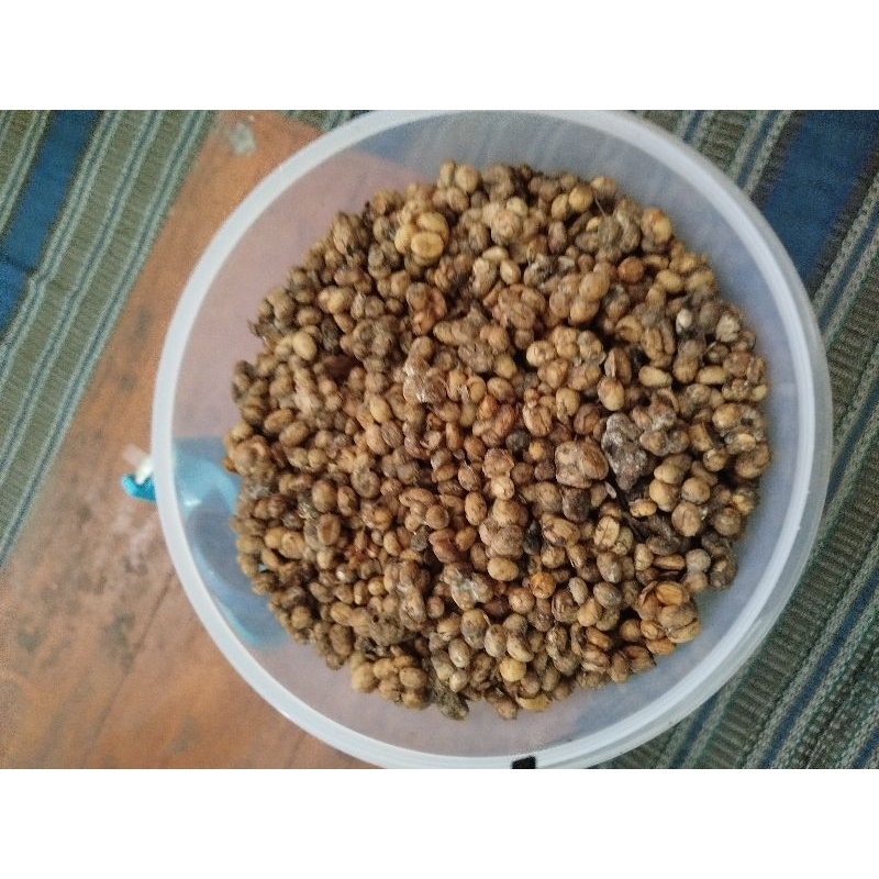 

Kopi LUWAK LIAR ASLI "Lora Coffe" asli 100% Kopi gumitir banyuwangi 1KG