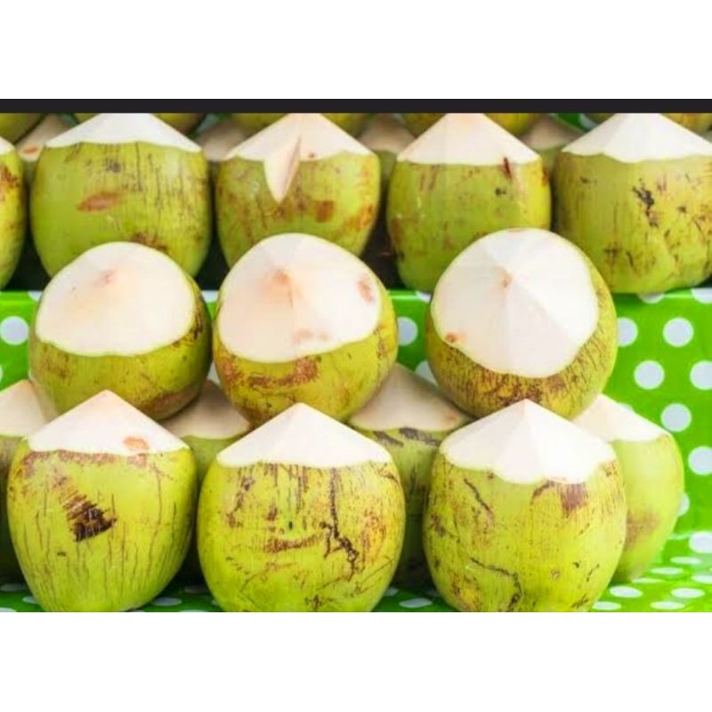 

Kelapa muda sudah sama kulitnya,Murni Asli%