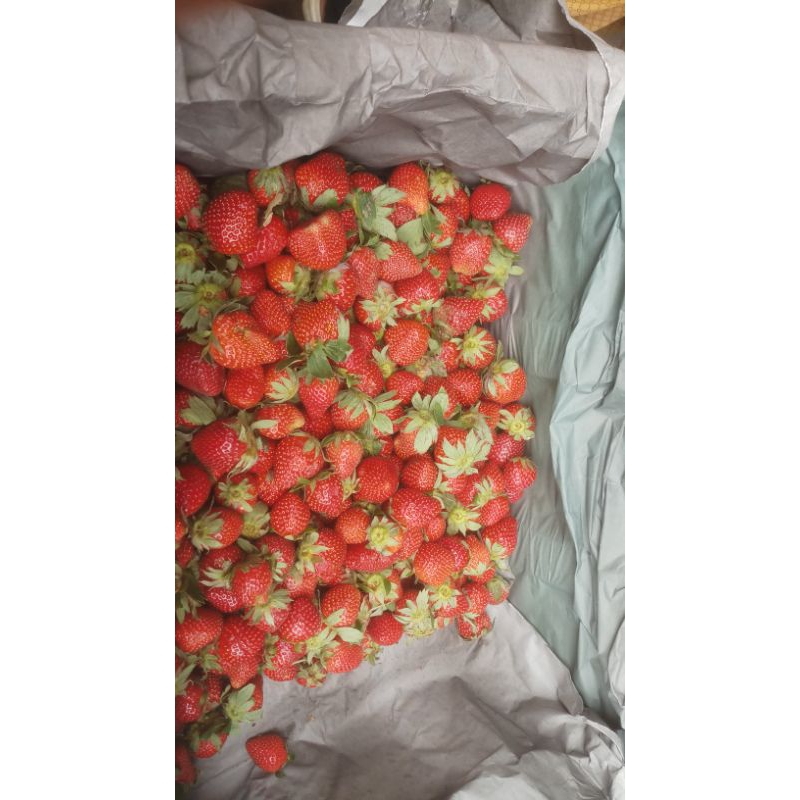 

strawbery brastagi (200g)
