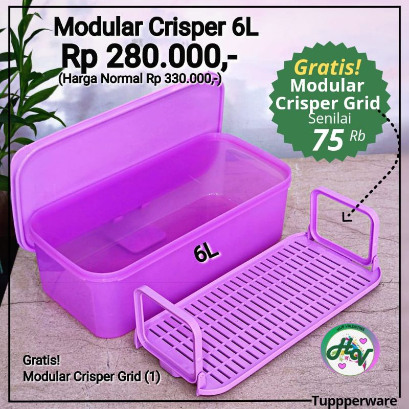Tupperware Modular Crisper 6L