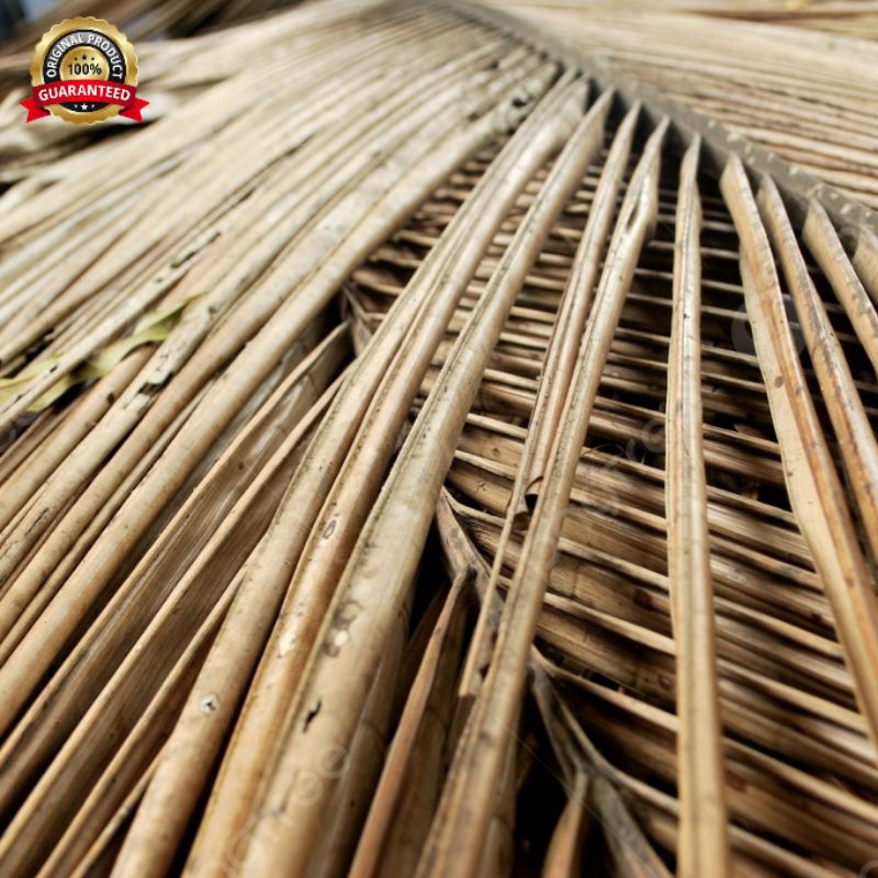 

Belarak/daun kelapa kering utuh dengan lidinya dipetik dadakan waktu dipesan (100 Lembar)