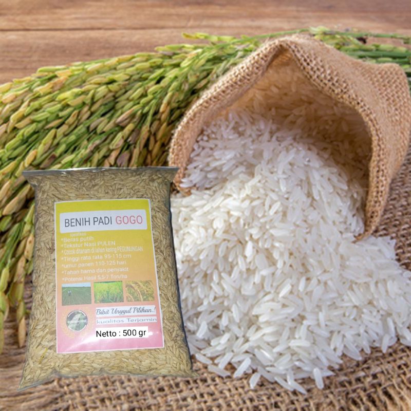 

Gabah padi GOGO beras putih pulen Kemasan 500 gram