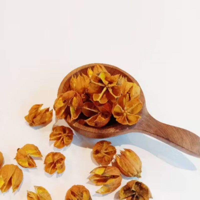 

Kelopak Rosella kuning - bunga Rosella kering - kerajinan kelompok Rosella - Rosella ecer dan grosir