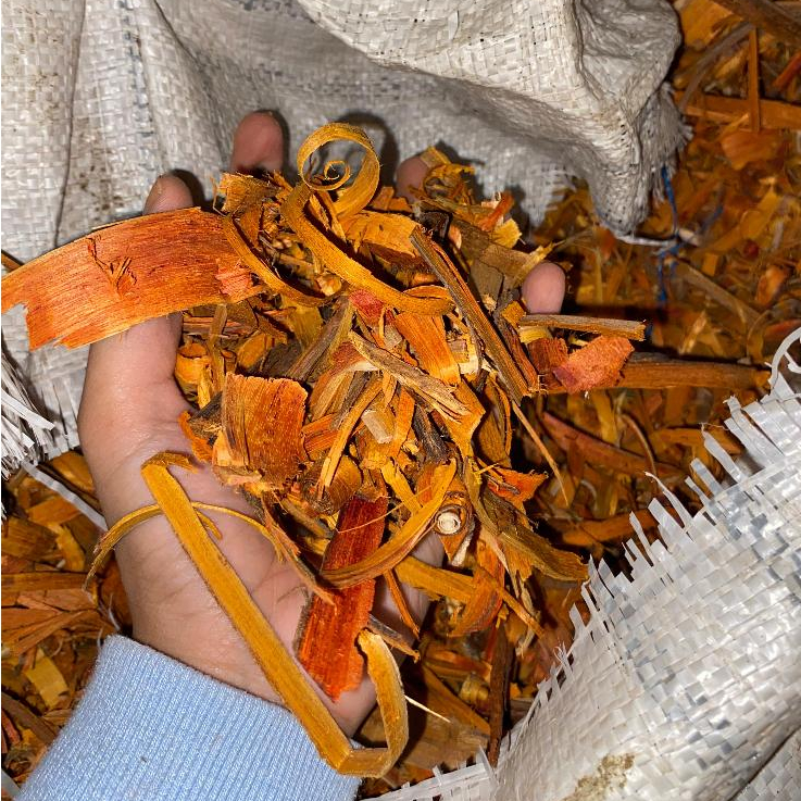

Kayu Secang 1kg Secang Serut Bersih Pilihan Rempah untuk Wedang Uwuh dan Jamu Berkualitas