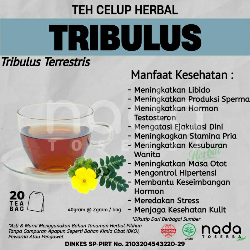 

Teh Celup Herbal TRIBULUS Isi 20 Tea Bag | Tribulus Terrestris