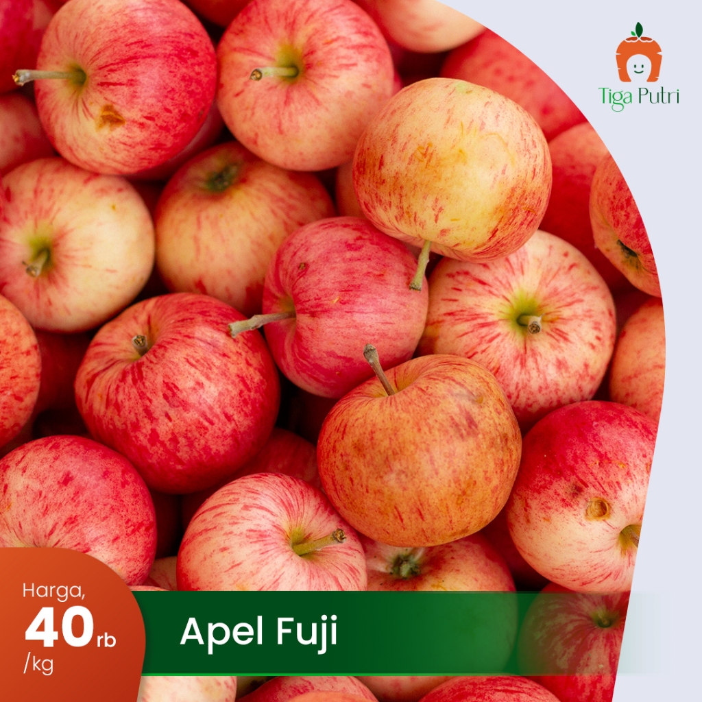 

BUAH APEL FUJI SEGAR 1Kg